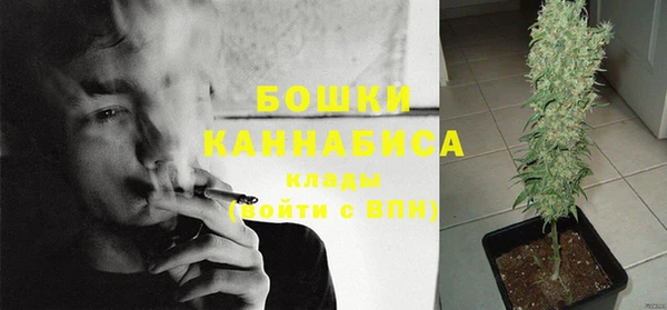 марихуана Новозыбков