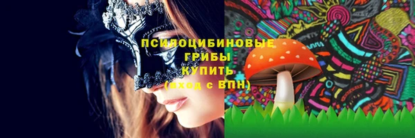 дживик Новодвинск