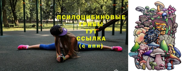 дживик Новодвинск