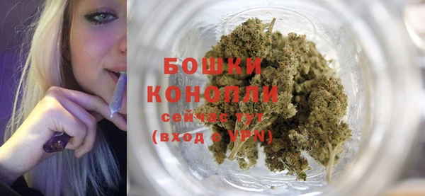 ПСИЛОЦИБИНОВЫЕ ГРИБЫ Беслан