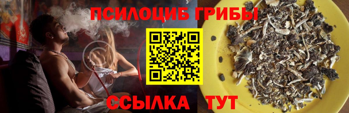 Псилоцибиновые грибы прущие грибы  Вход с VPN  даркнет сайт  Сорочинск  Галлюциногенные грибы GOLDEN TEACHER 